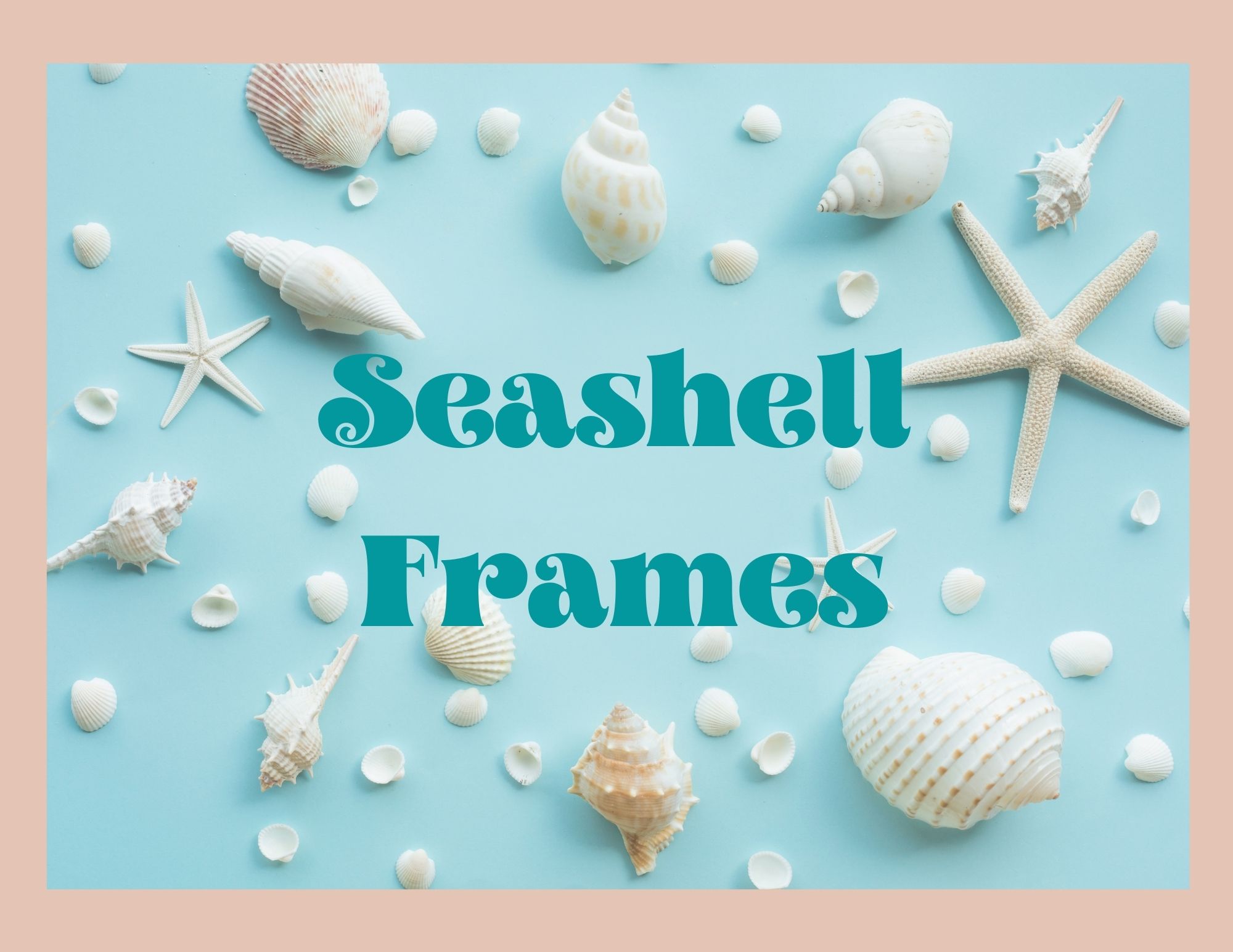 seashell frames