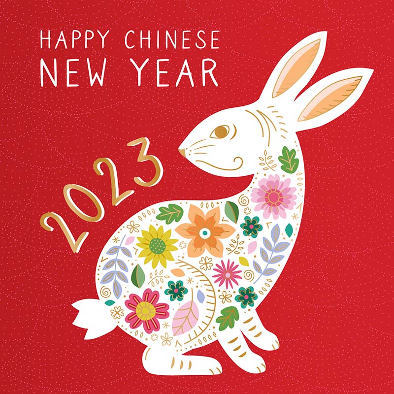 image of a rabbit with text that says "Happy Chinese New Year 2023"