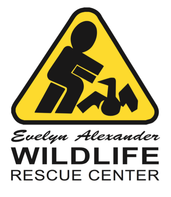 Evelyn Alexander Wildlife Rescue Center