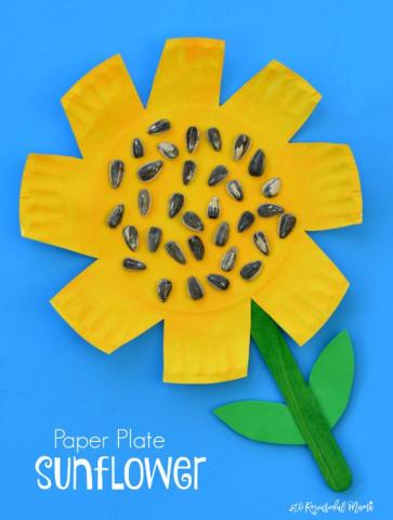 paper plate sunflower