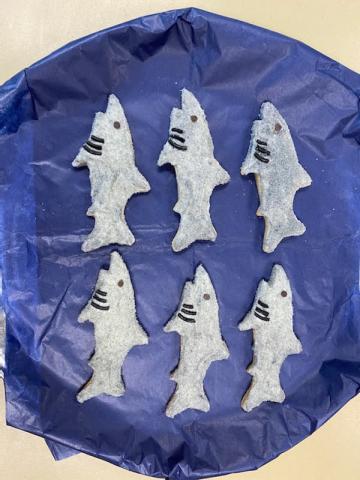 shark sugar cookies