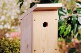 wooden birdhouse