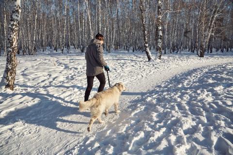 Winter Hiking on Long Island