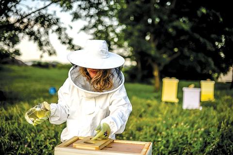 Introduction to Beekeeping