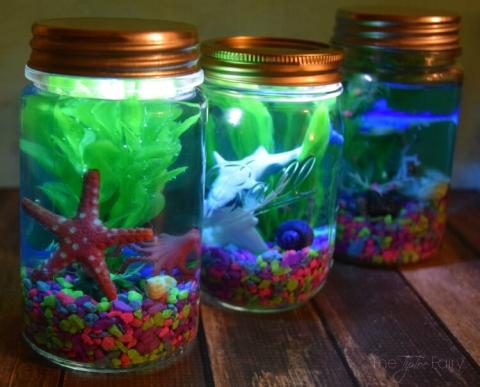 Mason Jar Aquarium