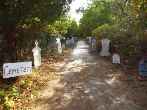 dirt road with spooky signs