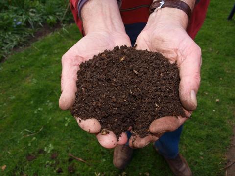 Compost Tea