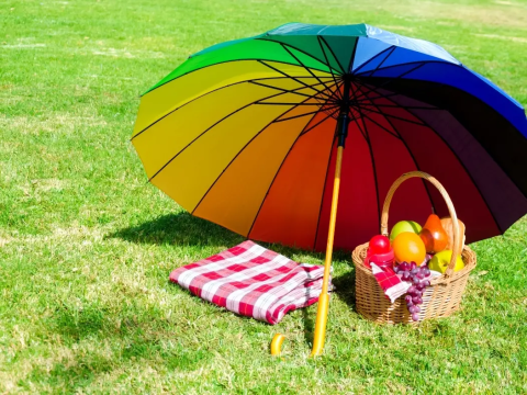 a rainbow picnic umbrella on a green front lawn with a fruit basket