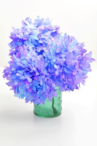 Coffee Filter Hydrangeas