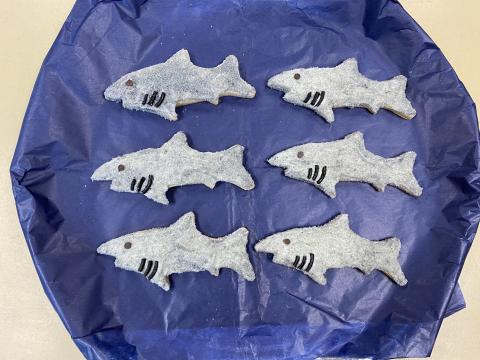 Shark Attack Sugar Cookies