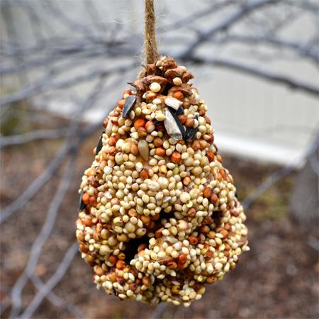 Drop In DIY Bird Feeders