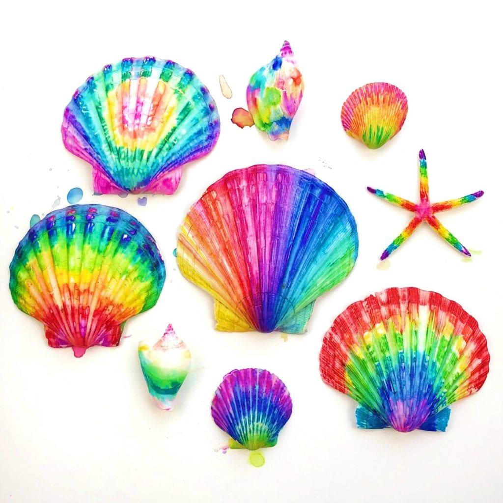 tie dye painted seashells