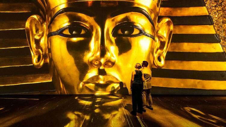 Beyond King Tut The Immersive Experience