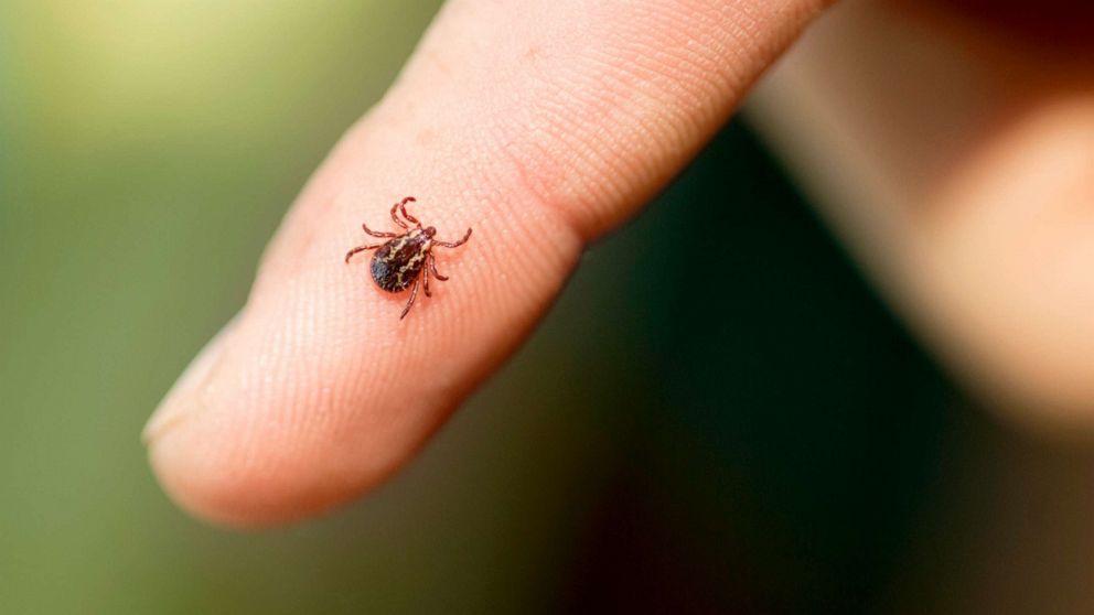 Tick-Borne Disease