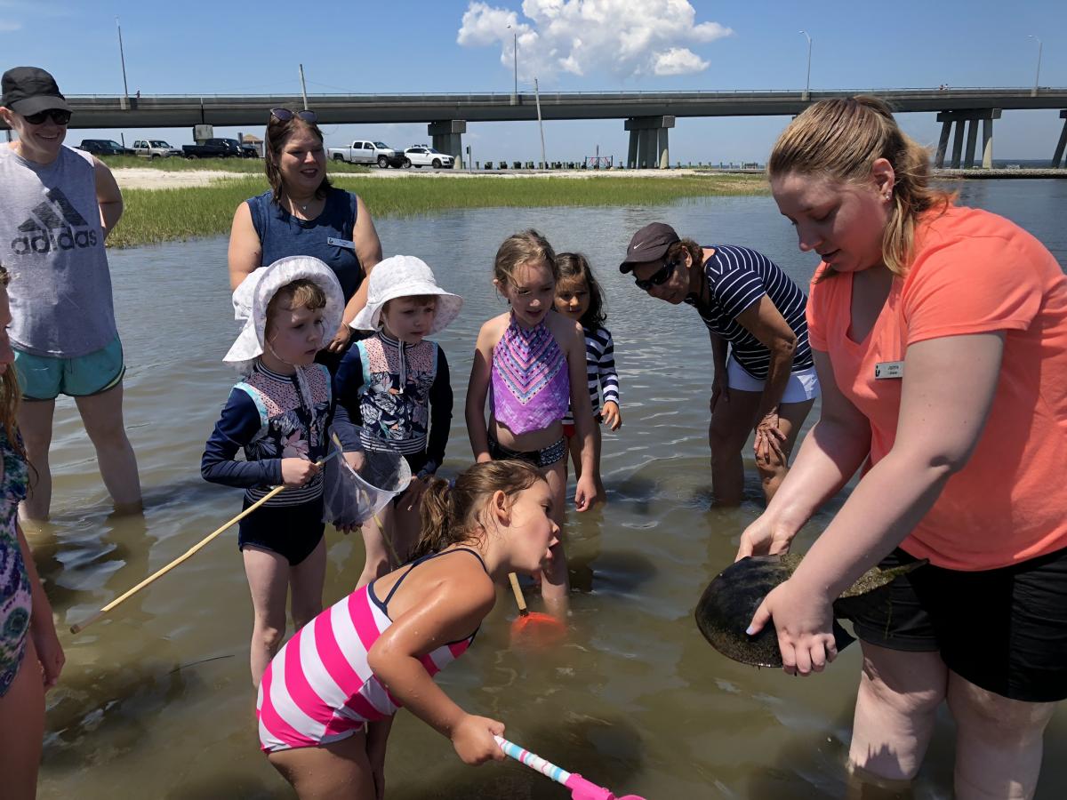 library patrons at the bay with a horseshoe crab