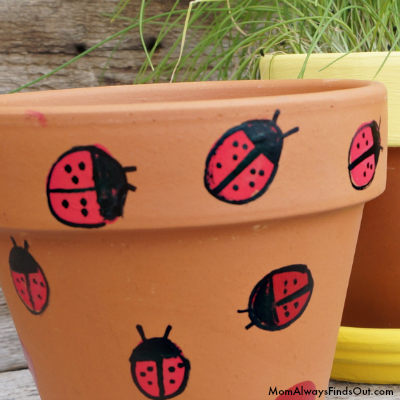 ladybug clay pots