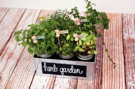 DIY Herb Garden