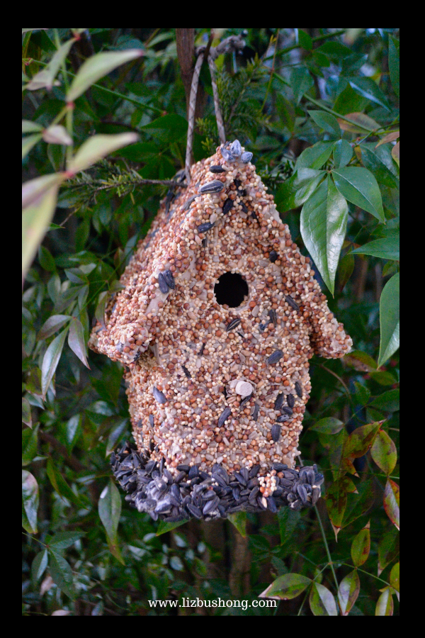 Birdhouse Bird Feeders