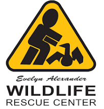 Evelyn Alexander Wildlife Rescue Center