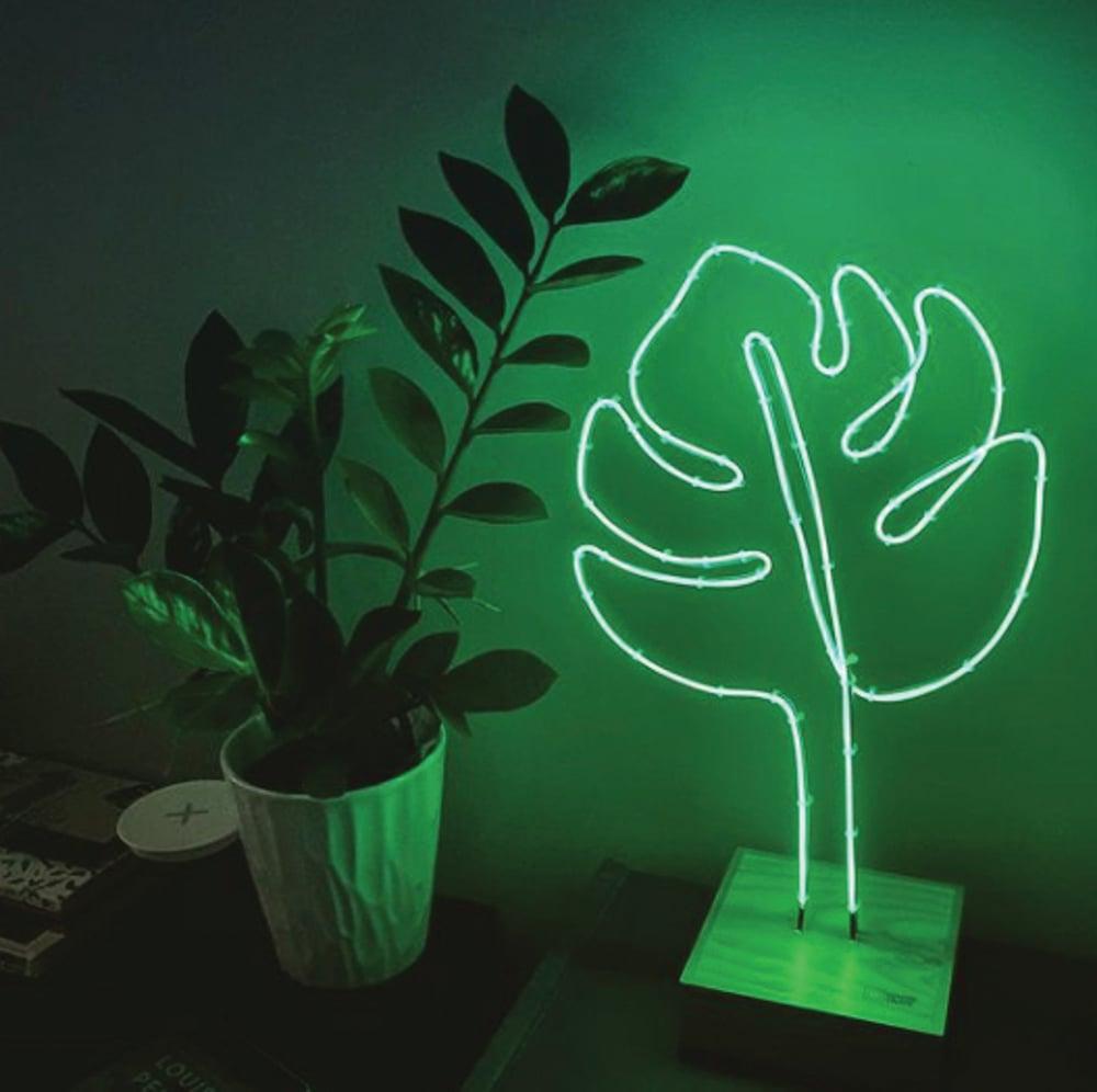 green electroluminescent monstera leaf in dark room