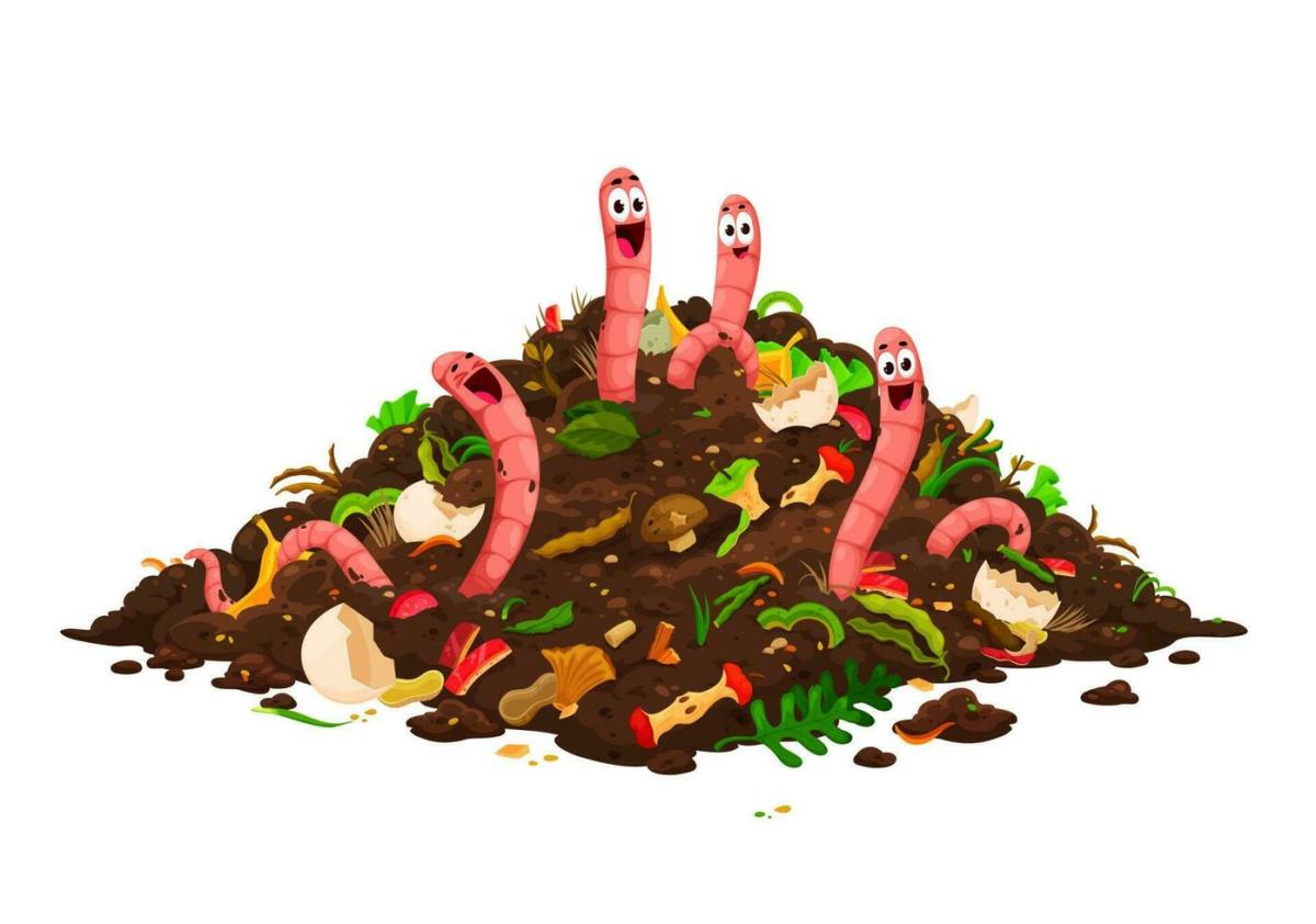 Make the Most of Compost
