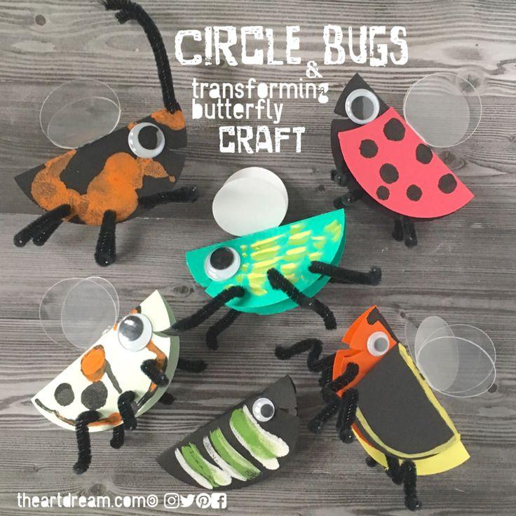 T&M Circle Bugs